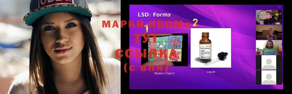 ГАЛЛЮЦИНОГЕННЫЕ ГРИБЫ Покров