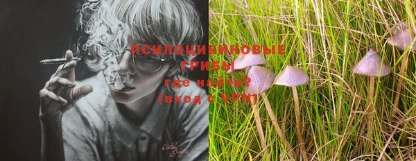 ГАЛЛЮЦИНОГЕННЫЕ ГРИБЫ Покров