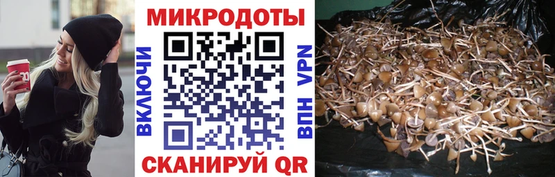 Купить где  Нижневартовск  Галлюциногенные грибы Cubensis 